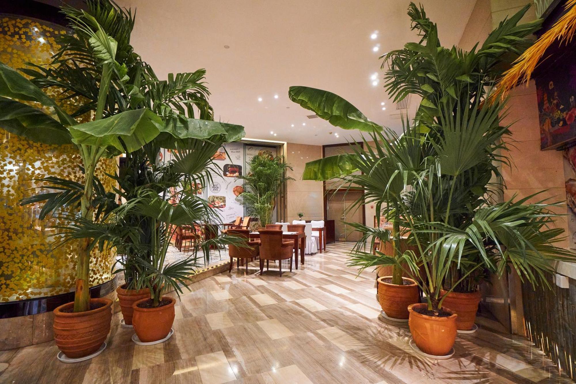 Hotel Wyndham Grand Plaza Royale Chenzhou Exteriér fotografie